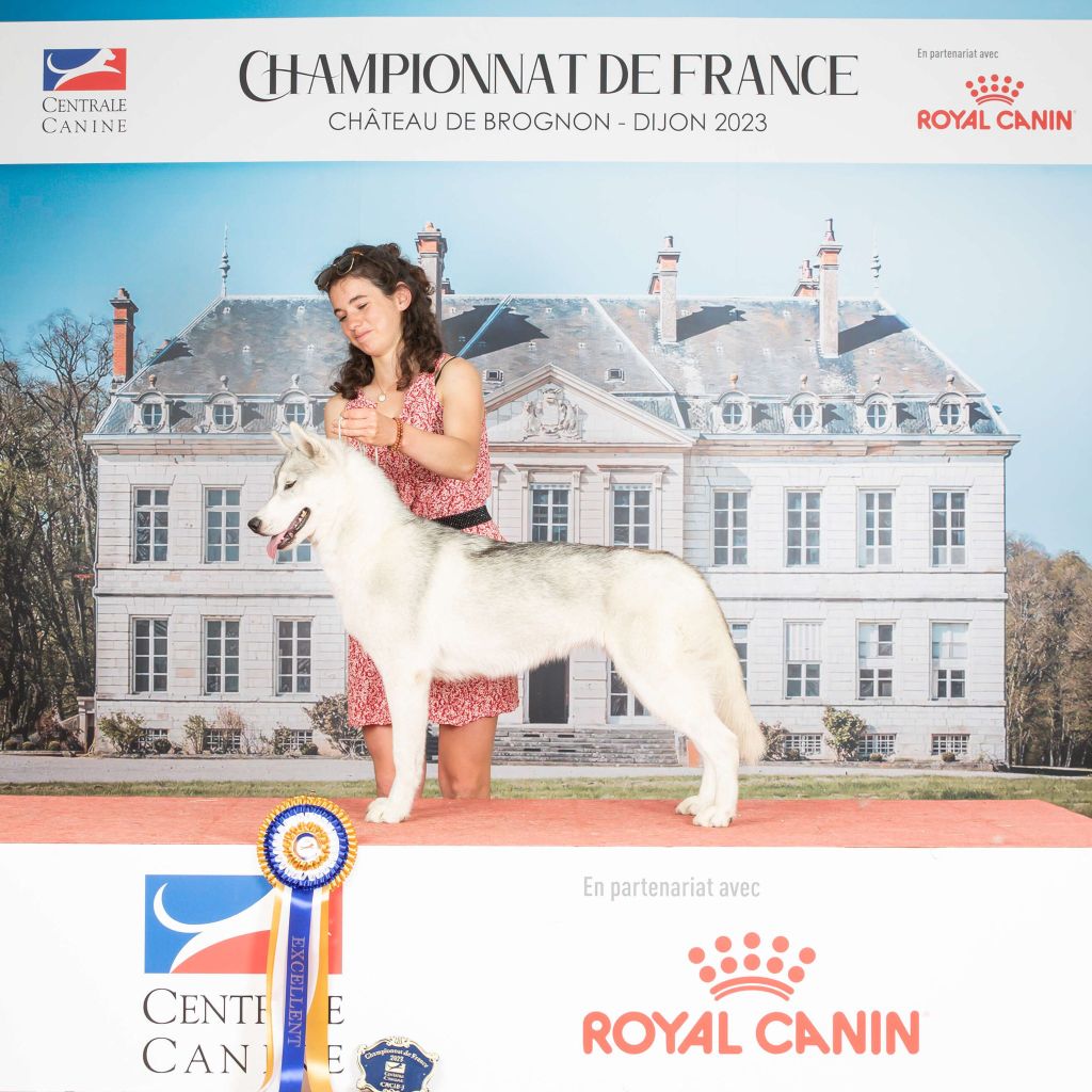 Nookilik's - Championnat de France 2023 - Château de Brognon, Dijon
